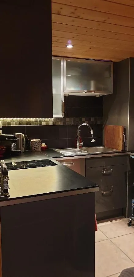 Apartment Galerie Roche Beranger « Le Doux Chalet » Chamrousse France
